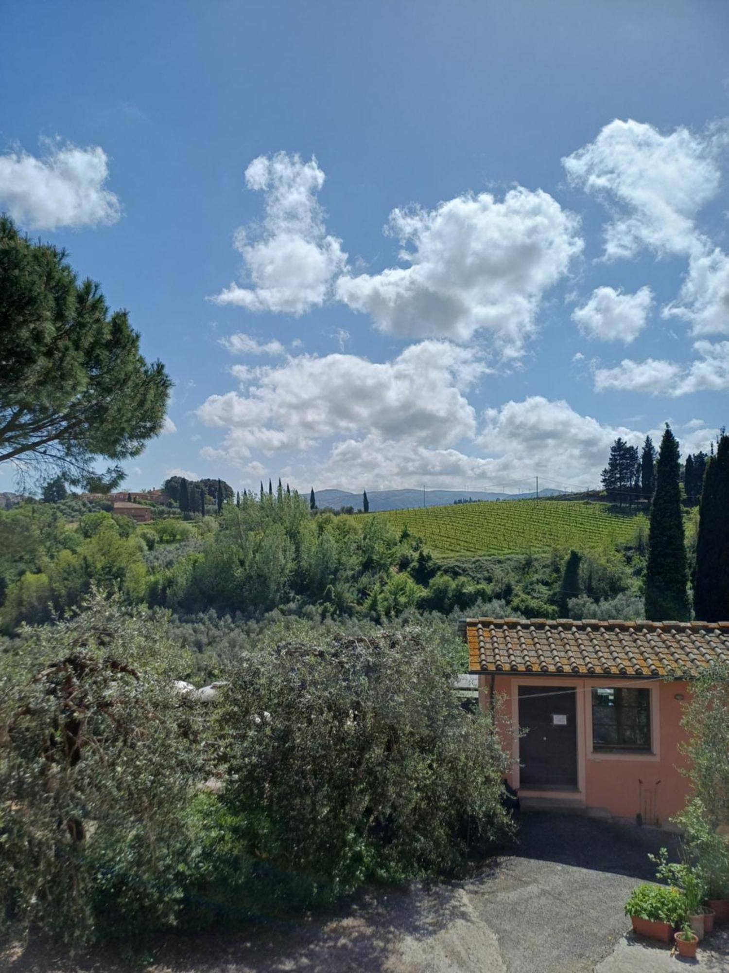 Agriturismo Terre Di Toscana Terricciola Zewnętrze zdjęcie